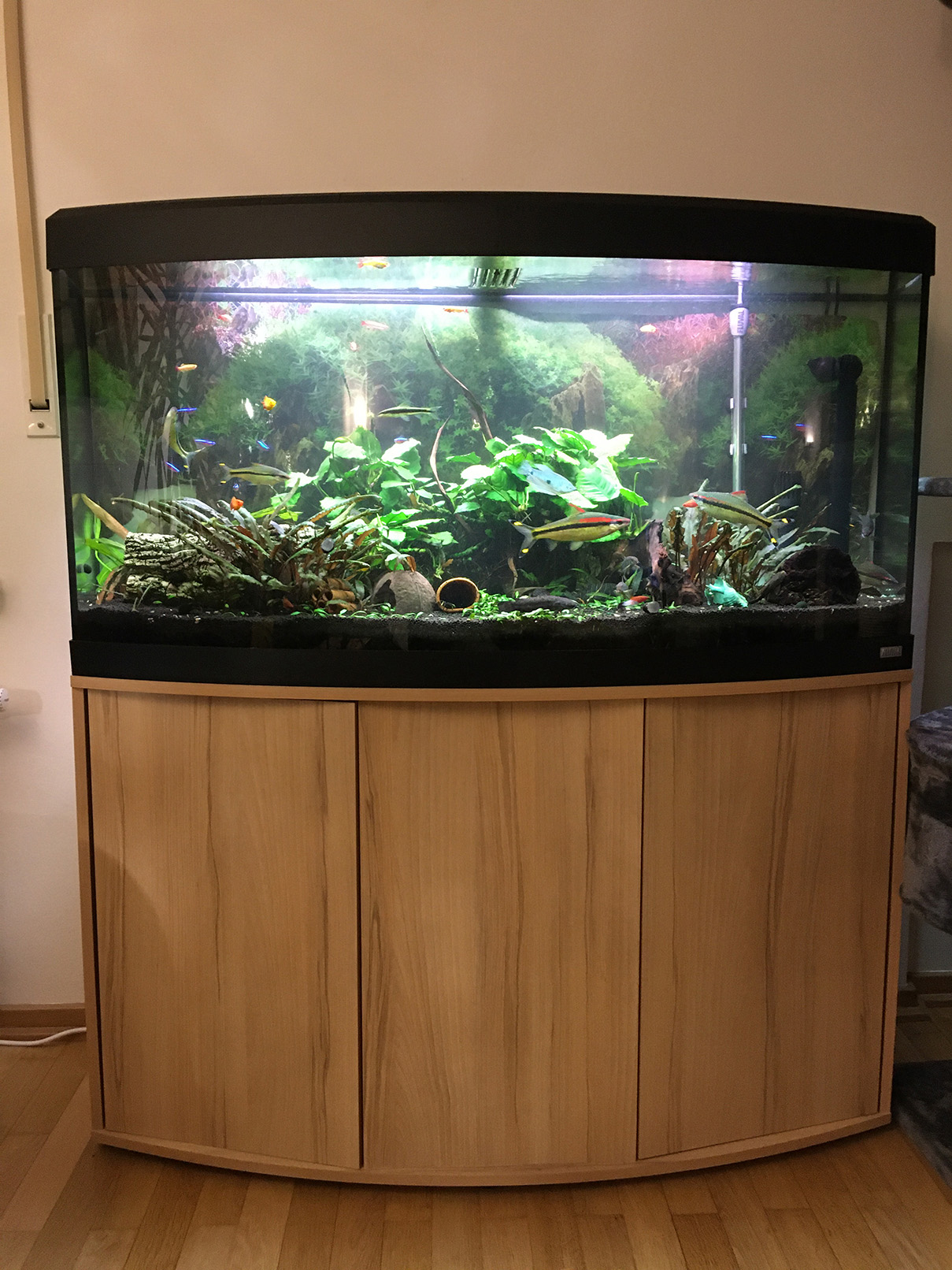 Fluval Aquarium